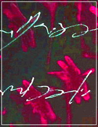 visualpoetry
